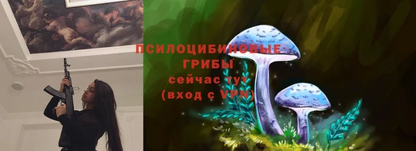 ALPHA PVP Богородицк